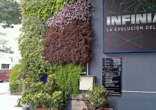 Desarrollo de Jardín Vertical