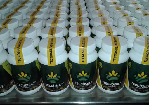 Aminoácidos para la vida